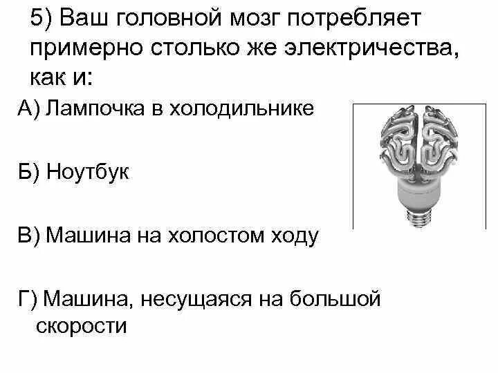 Сколько потребляет мозг. Потребление энергии мозгом. Сколько энергии тратит мозг. Потребление калорий мозгом. Энергопотребление мозга человека.