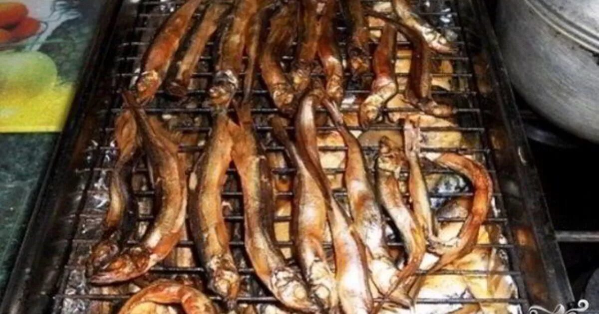 Мойва горячего копчения рецепт. Барабуля горячего копчения. мойва горячего копчения. копченая рыба в коптильне. мойва горячего копчения в коптильне.
