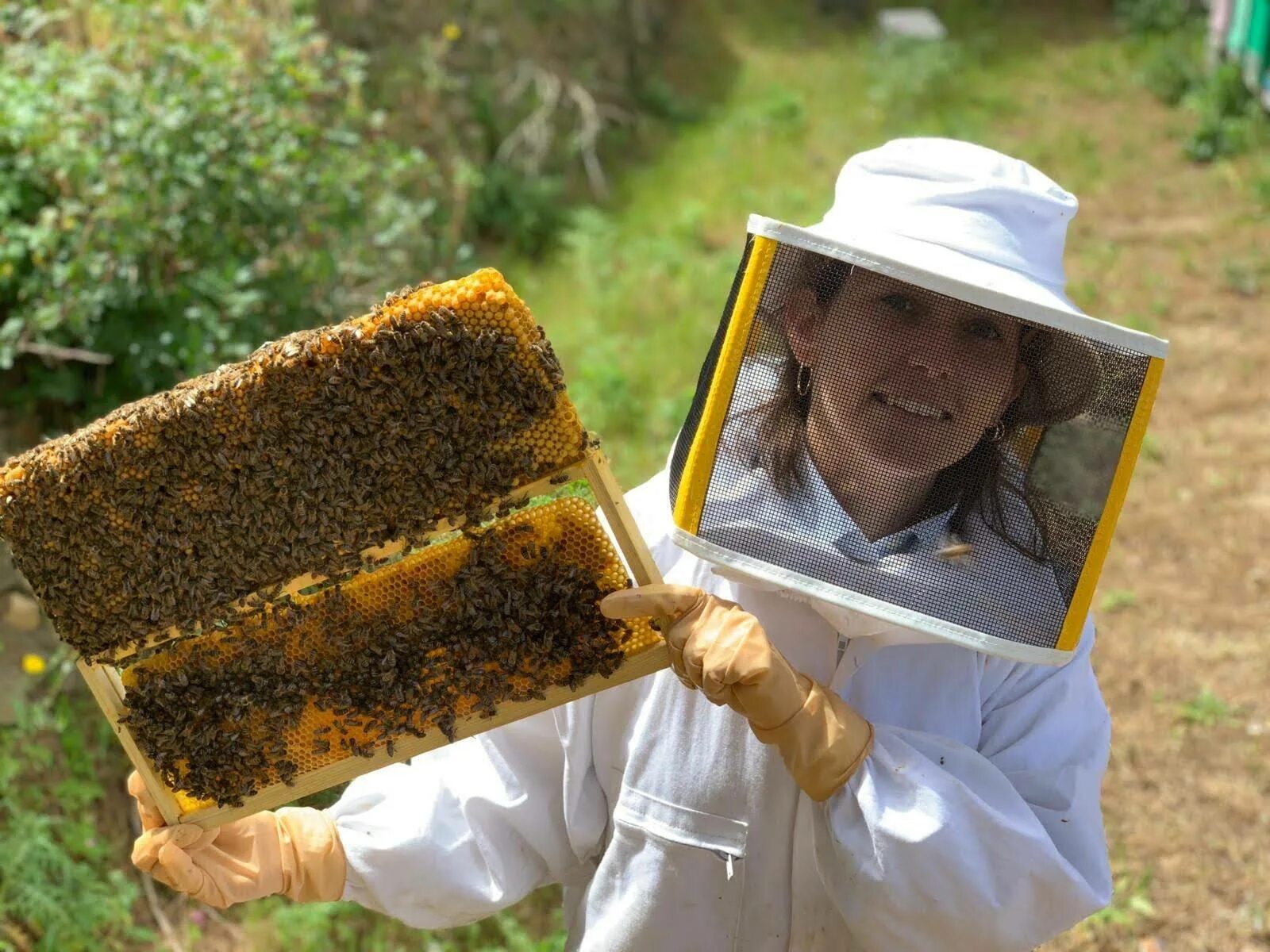 Пасека Шкрюм мед. Пчеловодство для детей. Жизнь пчел. Пчелиные детки.