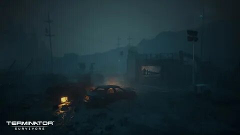 Terminator survivors