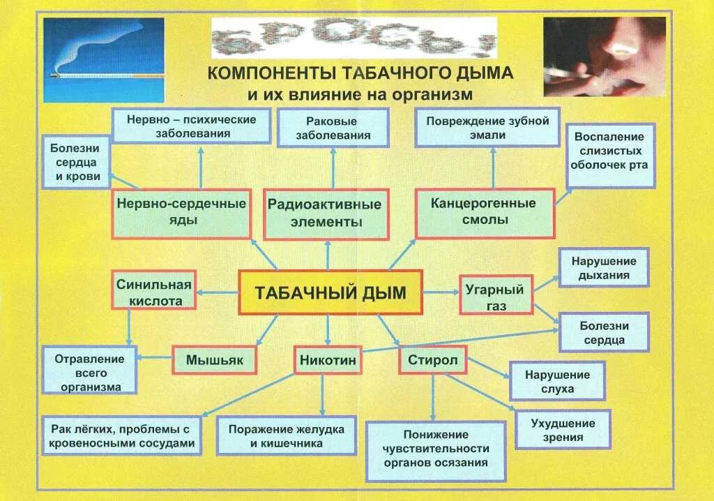 основной компонент табачного дыма. основные компоненты табачного дыма. схема влияния компонентов табачного дыма на организм. компоненты сигаретного дыма. состав табака и табачного дыма.
