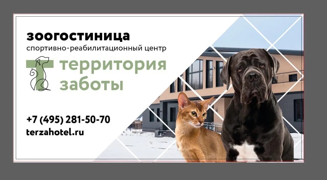 Забота логотип. Картинки зоогостиница для презентации. Картинки зоогостиница для презентации. Территория заботы. Территория заботы москва.