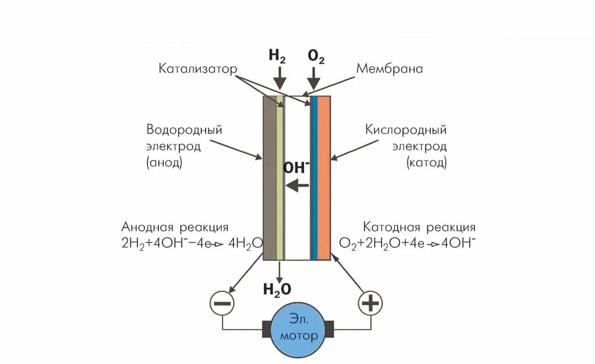 Принцип водородного двигателя. Электрохимический Генератор схема. Схема работы водородной топливной ячейки. Схема водородно кислородного топливного элемента. Принцип работы водородного двигателя на топливных элементах схема.