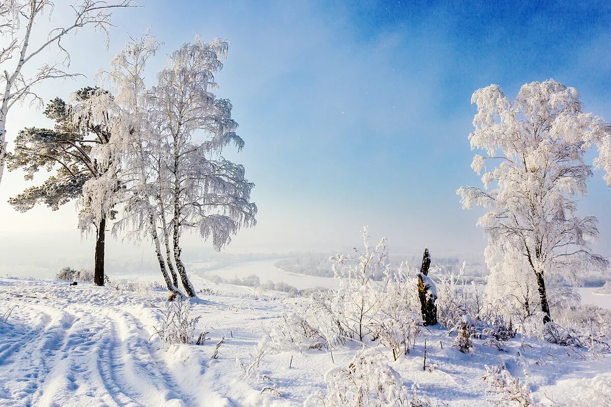 Зима в разгаре. Зимние зарисовки Иркутска фотохудожников. Зима в разгаре картинки. Разгар зимы