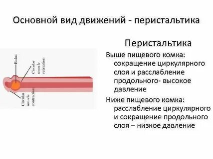 Характерна перистальтика