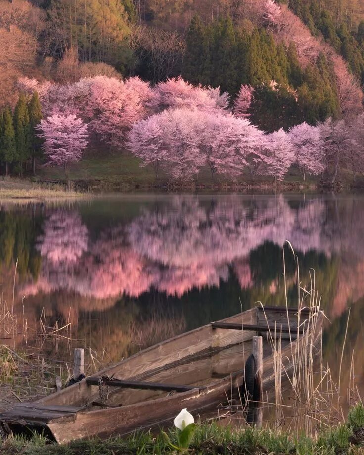 Макико Самэдзима. Красивый пейзаж. Красота природы. Завораживающие пейзажи. Прекрас ный