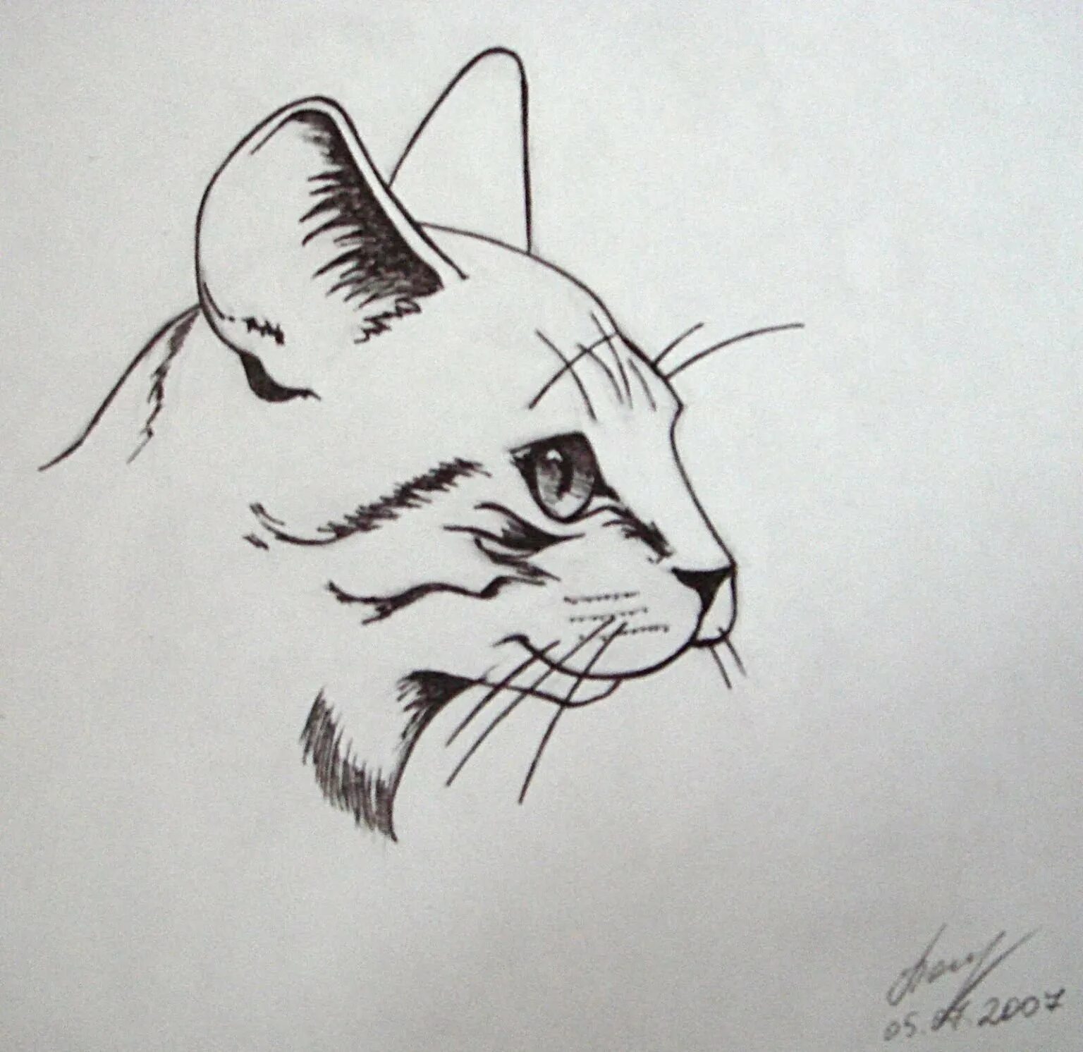 Графические рисунки простые. Рисунки для срисовки гелевой ручкой. Рисунки черной ручкой легкие. Кошка рисунок.
