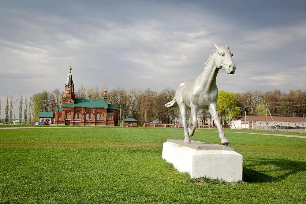 Воронежская лошадь. Хреновской бобровский район конный завод воронежская область. хреновое бобровский район конезавод. хреновской конный завод воронеж. село хреновое воронежской области конезавод.