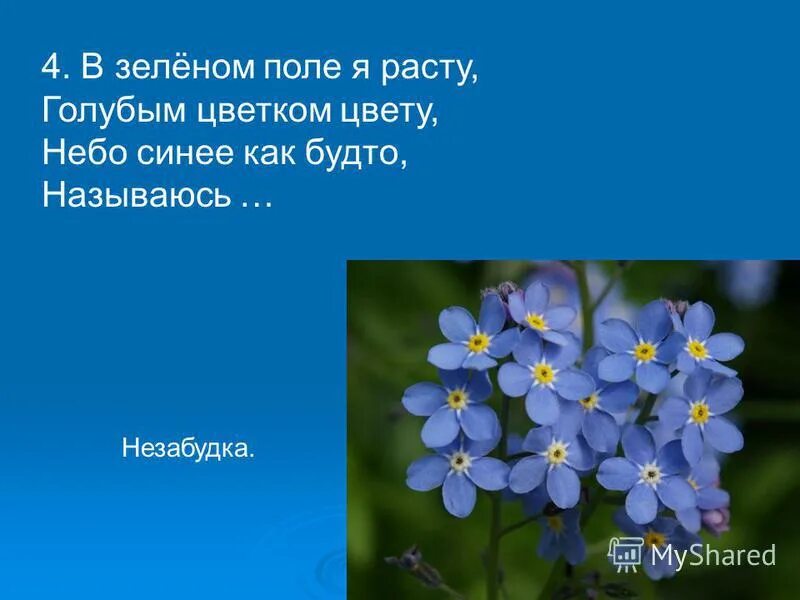Как будто вводное слово. Как будто было как называется. Как будто было как называется. На какие вопросы отвечают части речи. Вопросы частей речи.