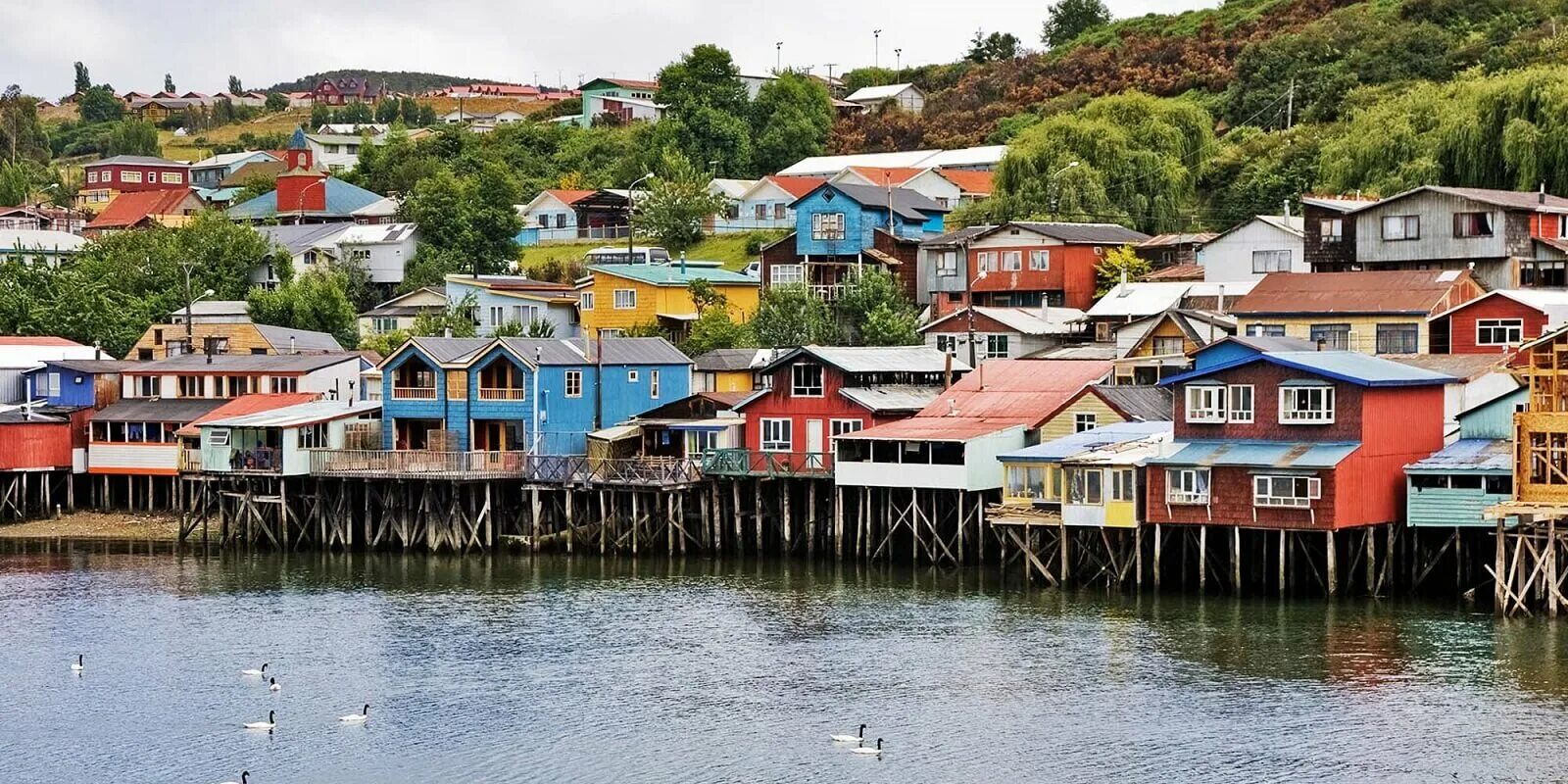 Чилая. Чилоэ Чили. Остров Чилоэ. Chiloe остров в Чили. Национальный парк Чилоэ.