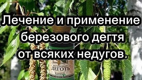 Лечение березовым