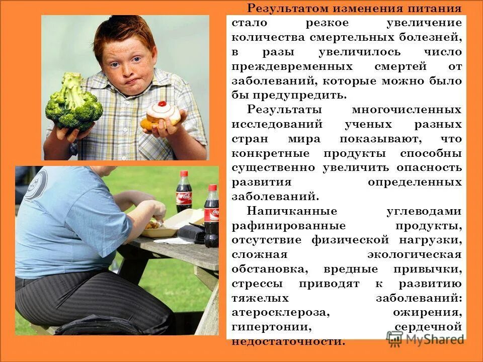 здоровое питание для пожилых людей. пищеварение это совокупность процессов обеспечивающих. физические изменения пищи. питание человека. пищеварительная система и процесс пищеварения.