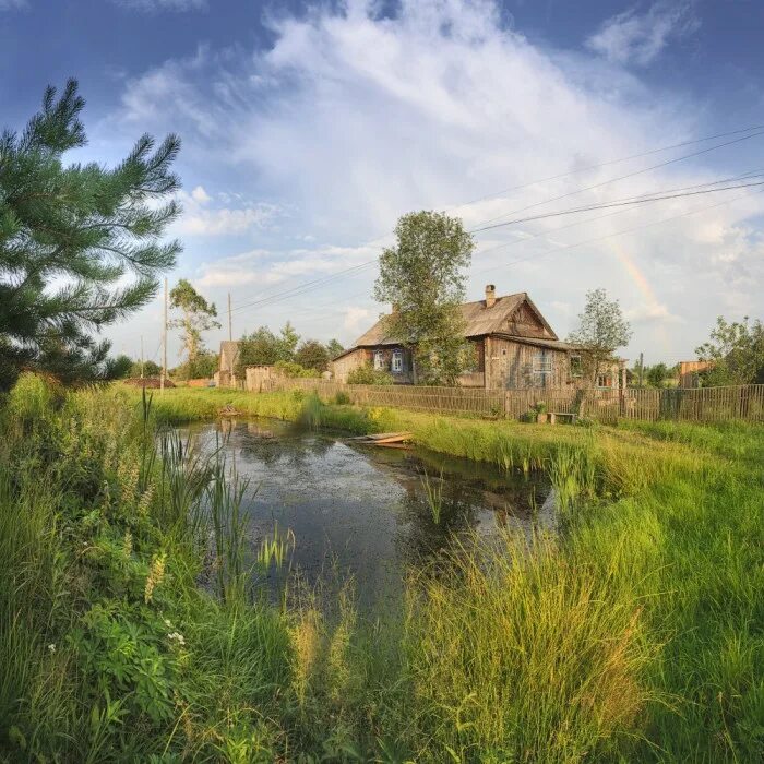пруд в деревне мижули. деревенский пруд. пруд рядом с деревней. косовский пруд. пруд изгожка псковская область.