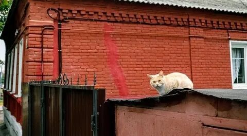 Жили были жилье