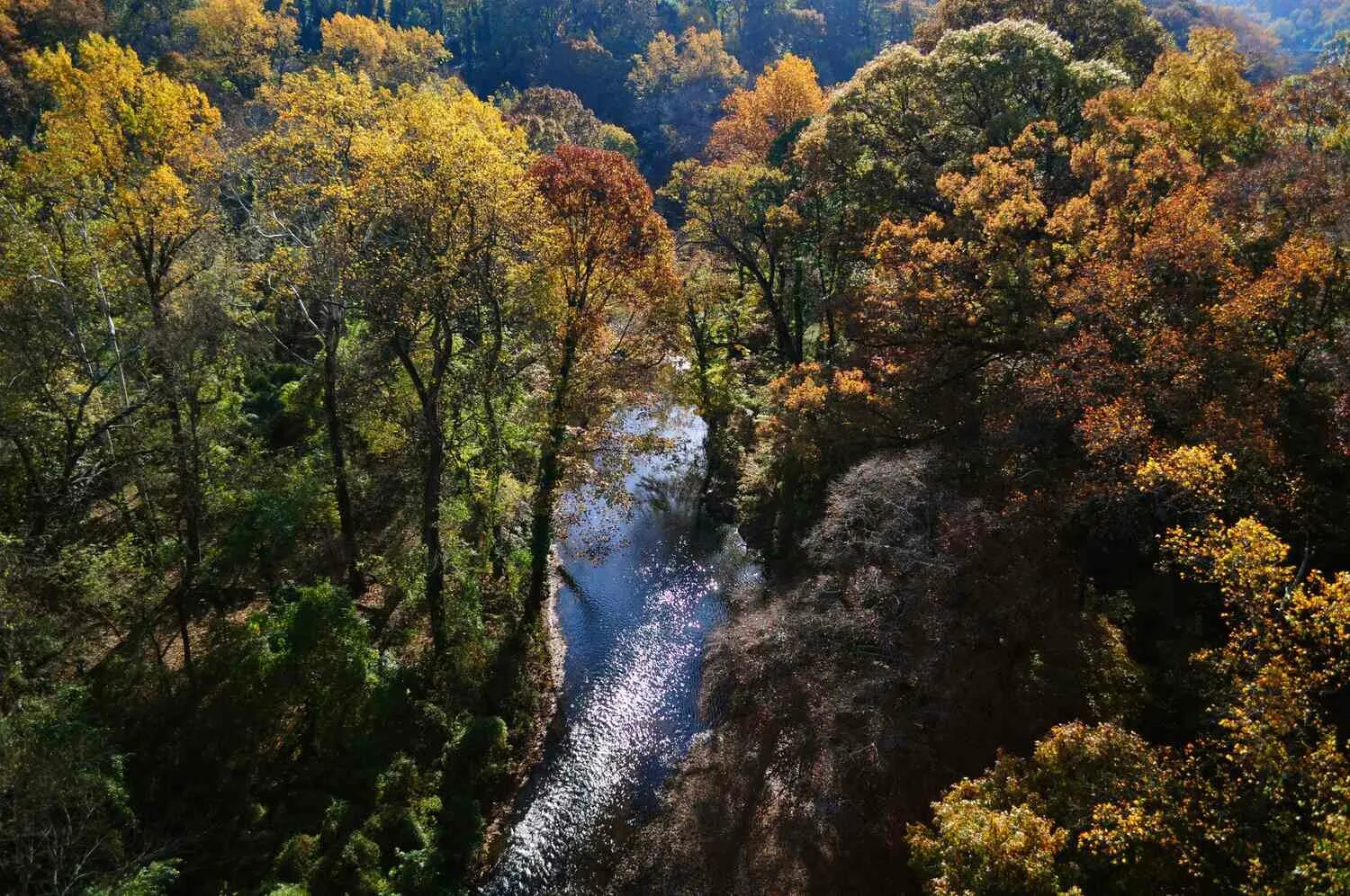 Rock creek park. Парк рок крик. Тропинка из шишек. Парк рок крик в вашингтоне фото. Мэриленд красивые парки.
