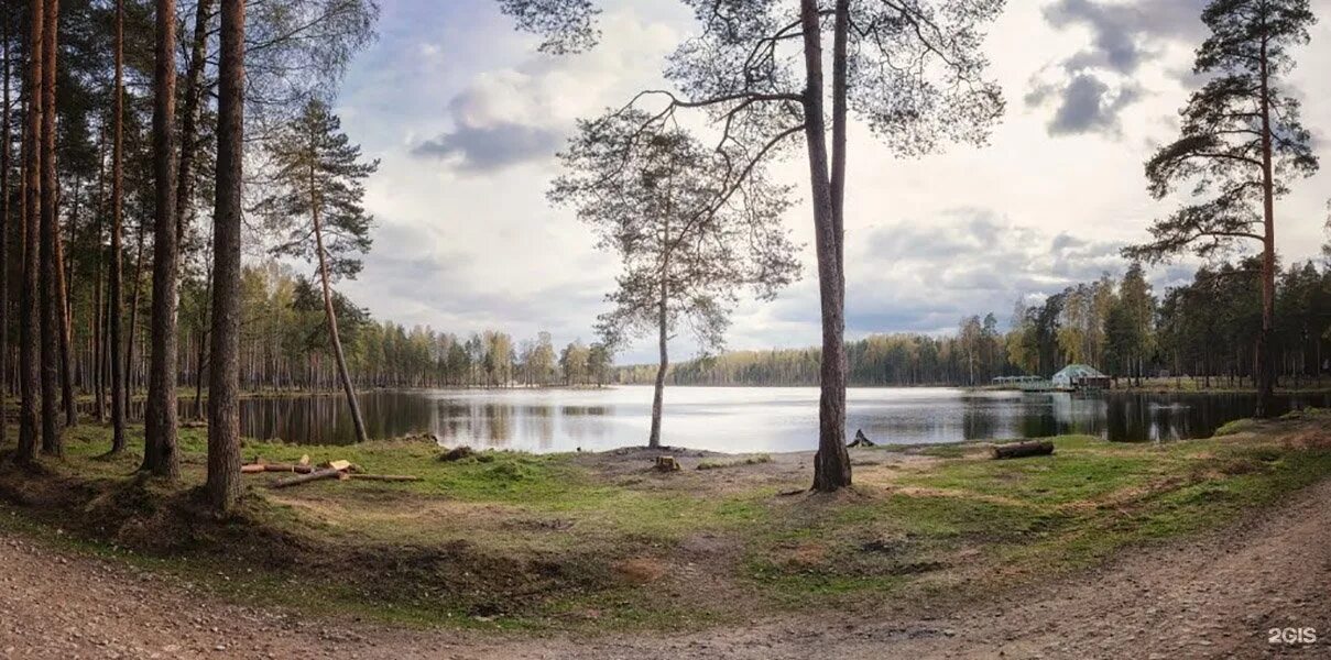 Озеро Коркинское Всеволожский район. Коркино озеро. Коркинские озера Ленинградская область. Озеро Коркинское Всеволожский район Ленинградская.