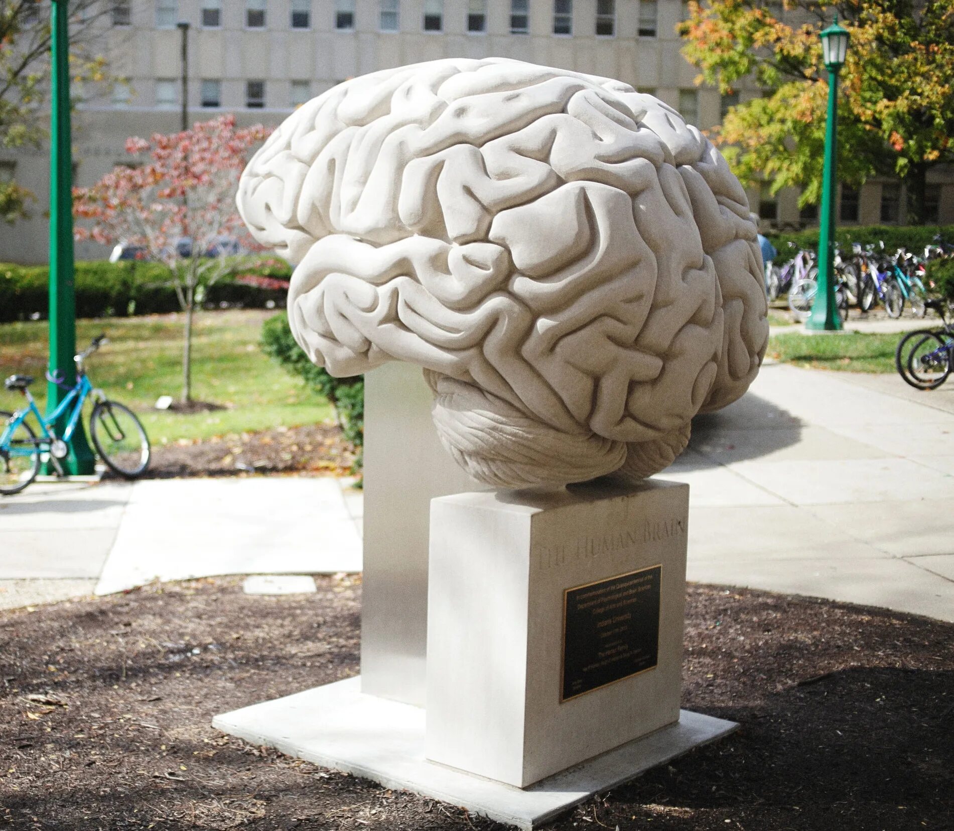 Large brain. Скульптура. Мозг скульптура. Памятник мозгу. Многогранная скульптура.