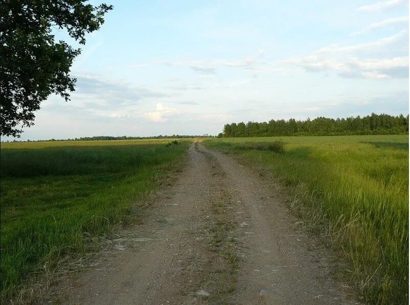 Погода высокое новодугинский район. Бурцево Новодугинский район Смоленская область. Моя деревня мольно Новодугинского района. Новодугинский район, поселок высокое. Деревня мольно Смоленской области.