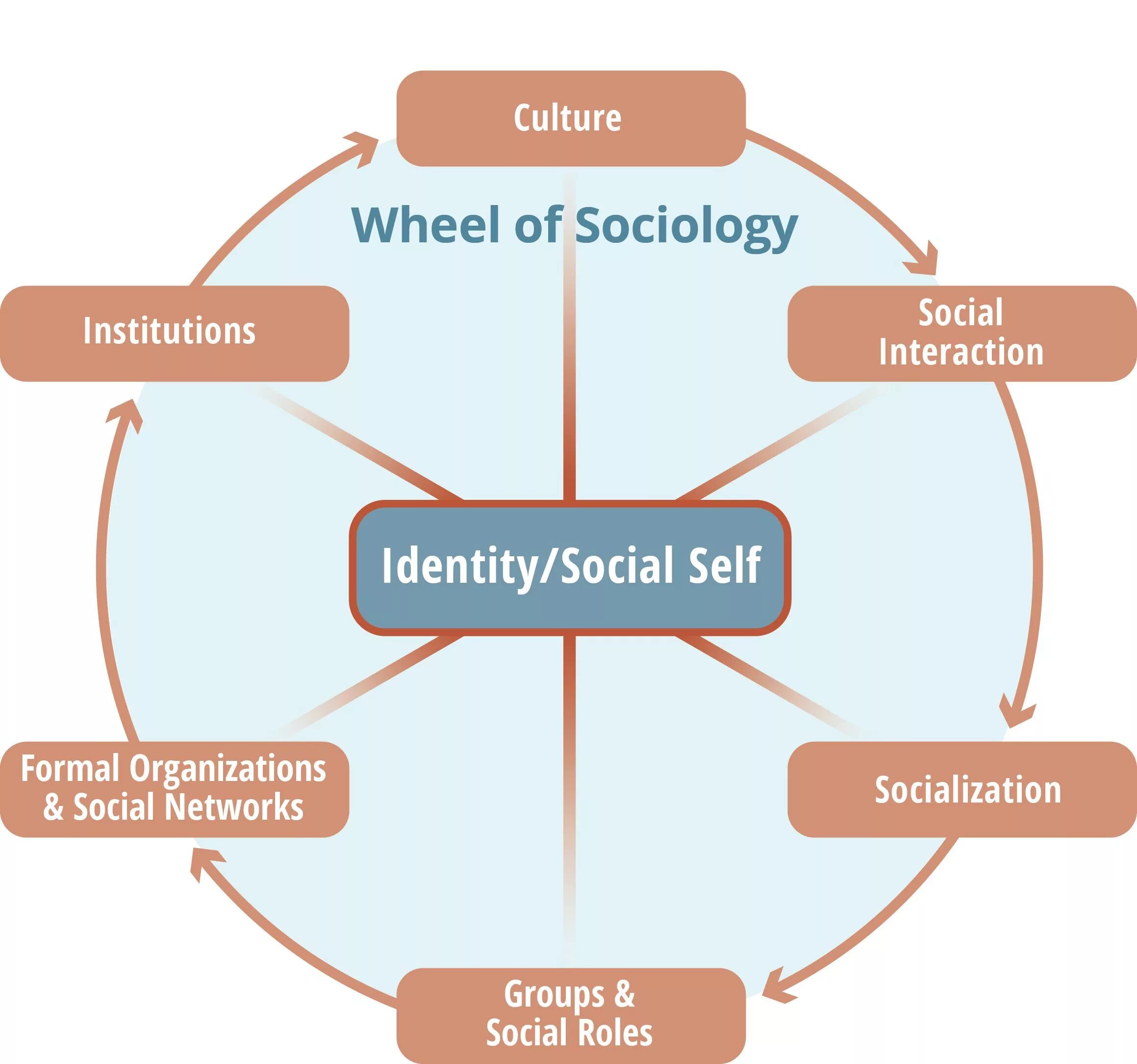 Role of society. Social institutions. Sociology is. Social roles. What is Sociology.
