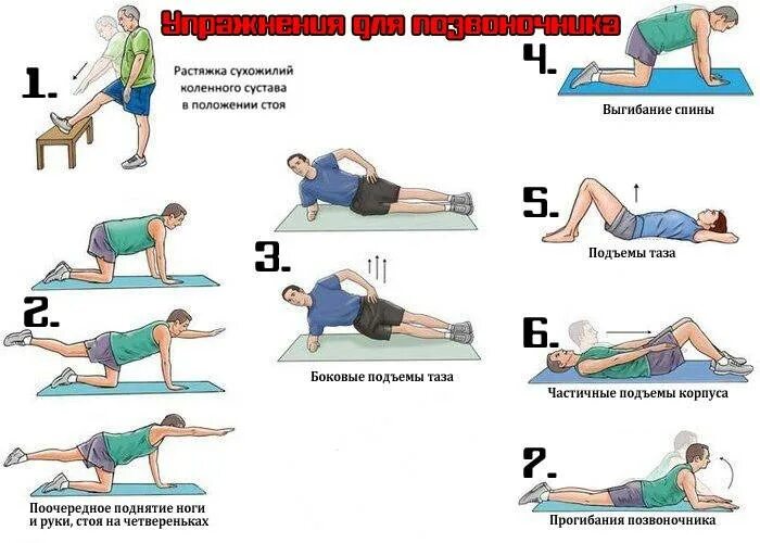 Укрепление поясницы. Упражнения для укрепления мышц спины и позвоночника. Комплекс гимнастики для укрепления мышц спины. Какие упражнения укрепляют мышцы спины. Упражнения на укрепление мышц спины в домашних условиях.