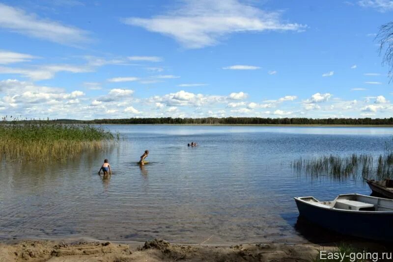 Свирь озеро беларусь. Озеро свирь. Отдых в белоруссии на озерах с рыбалкой. Нарочь. Голубые озера в белоруссии.