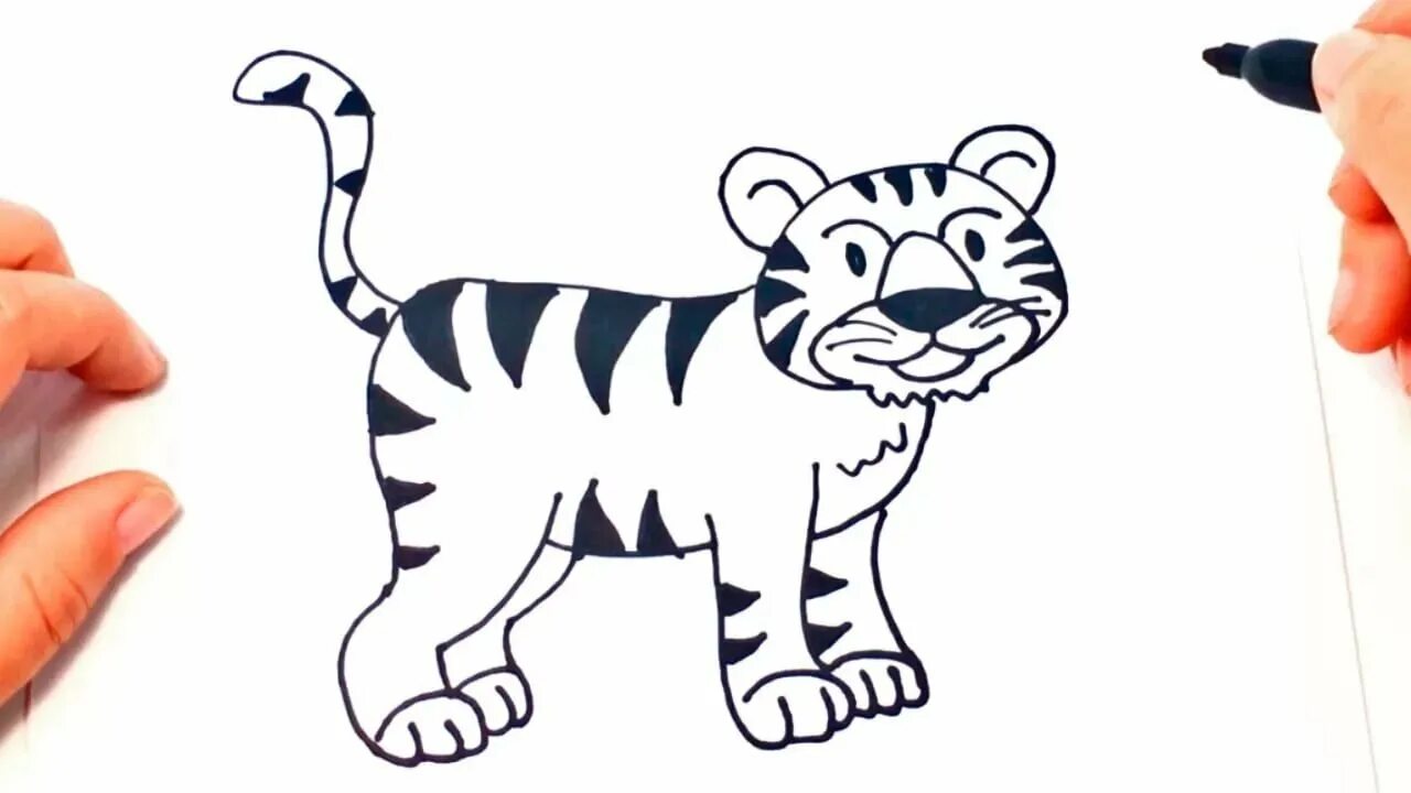 Нарисовать тигра легко