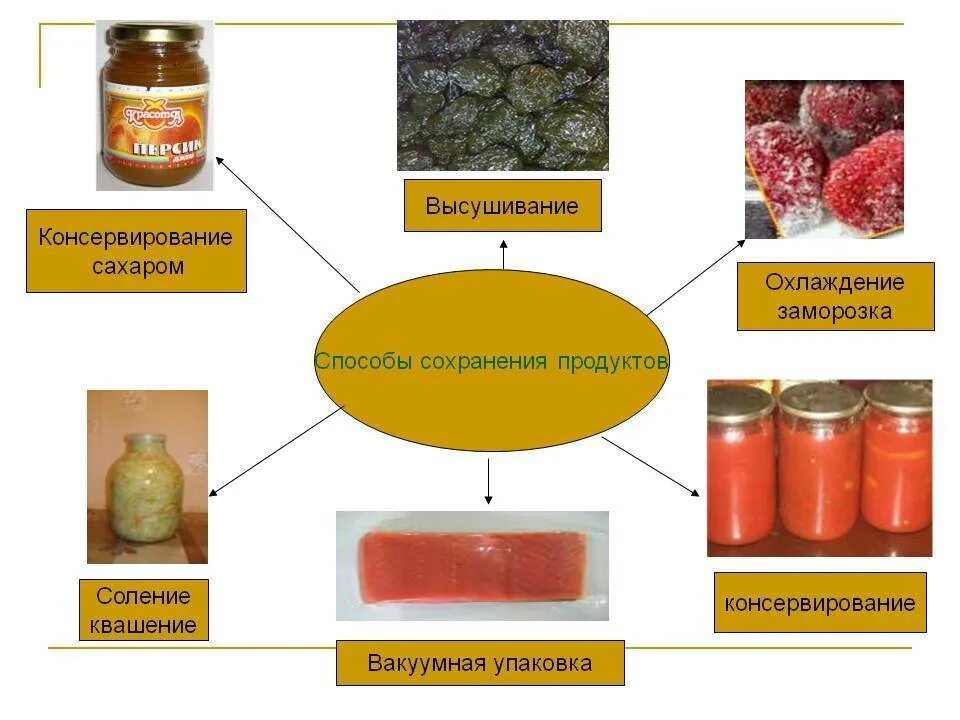 Методы консервирования продуктов. Способы консервации пищевых продуктов. Методов консервирования пищевых продуктов. Способы сохранения пищевых продуктов.