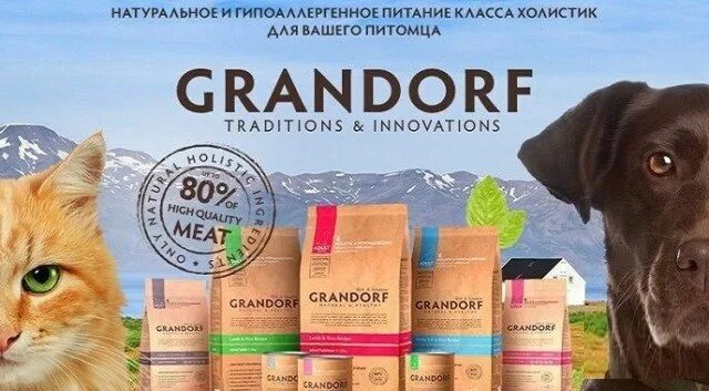 Грандорф зеленоградск. Компания Грандорф корм. Grandorf Medium 12 кг. Грандорф логотип корм. Корм для собак Grandorf Holistic.