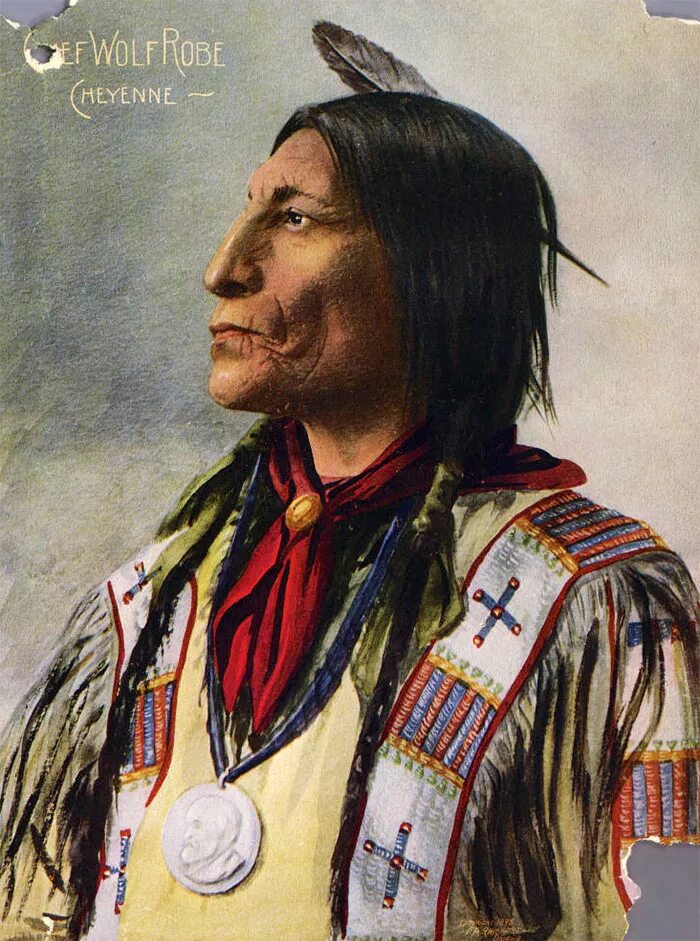 Один из коренных народов сша. Индейцы племен шайеннов. Племя шайеннов Индейское. Индейцы Северной Америки племена Шайены. Вождь племени шайеннов.