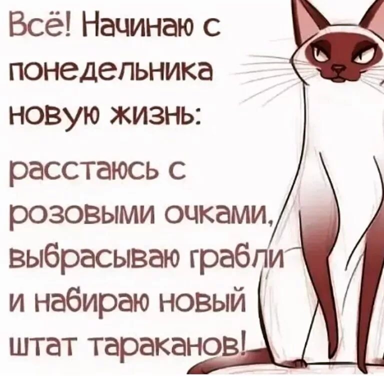 Начать новую жизнь с лета. Цитаты про понедельник. статусы про понедельник. начинаю новую жизнь. высказывания про понедельник.