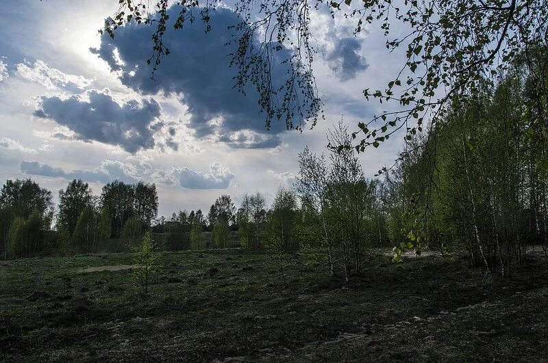 Костромская область село сунгурово. Деревня сунгурово нижегородская область. Погода сунгурово. Сунгурово костромская область церковь. Здемирово костромская область.