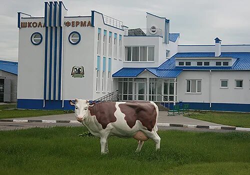 собаки бгсха. школа ферме. Farm school. горка на ферме. школа ферма беларусь.