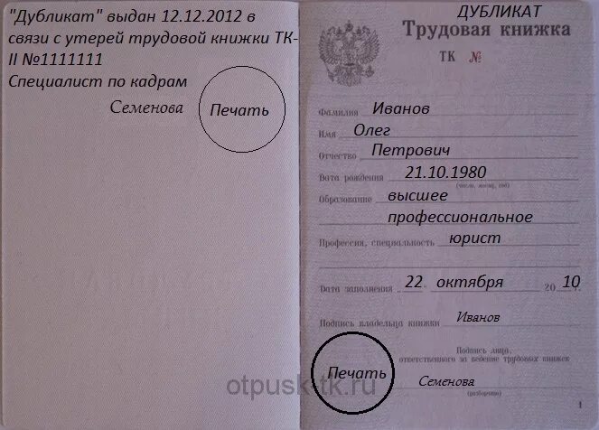 паспорт транспортного средства. отличие птс оригинал от дубликата. регистрационный знак в птс. как понять что птс дубликат. как заполняется копия трудовой книжки.