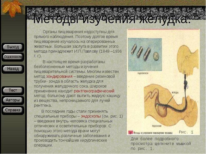 Как называется метод павлова позволивший установить. Методы исследования пищеварения. Методы изучения желудочного пищеварения. Методики Павлова исследования пищеварительной системы. Исследования функций желудка Павлов.