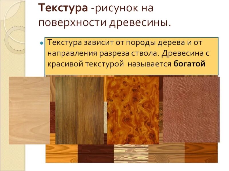 Красивая структура дерева. Пороки древесины косослой. Рисунок поверхности древесины. Векторная структура дерева. Графическая текстура дерева.