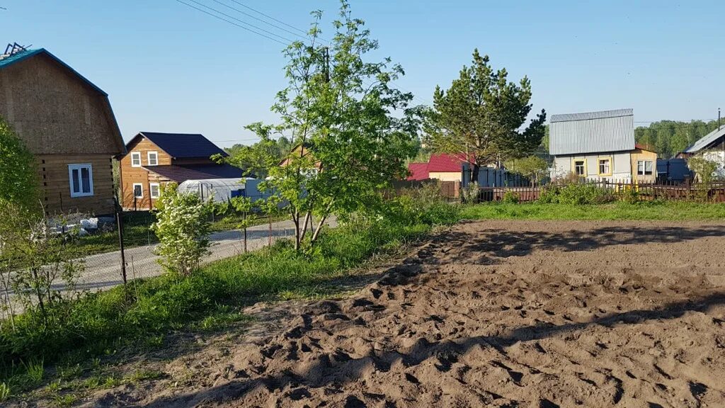 Погода в жеребцово новосибирск. Деревня жеребцово новосибирск. Жеребцово новосибирск село. Жеребцово курская область. Погода в жеребцово новосибирск.