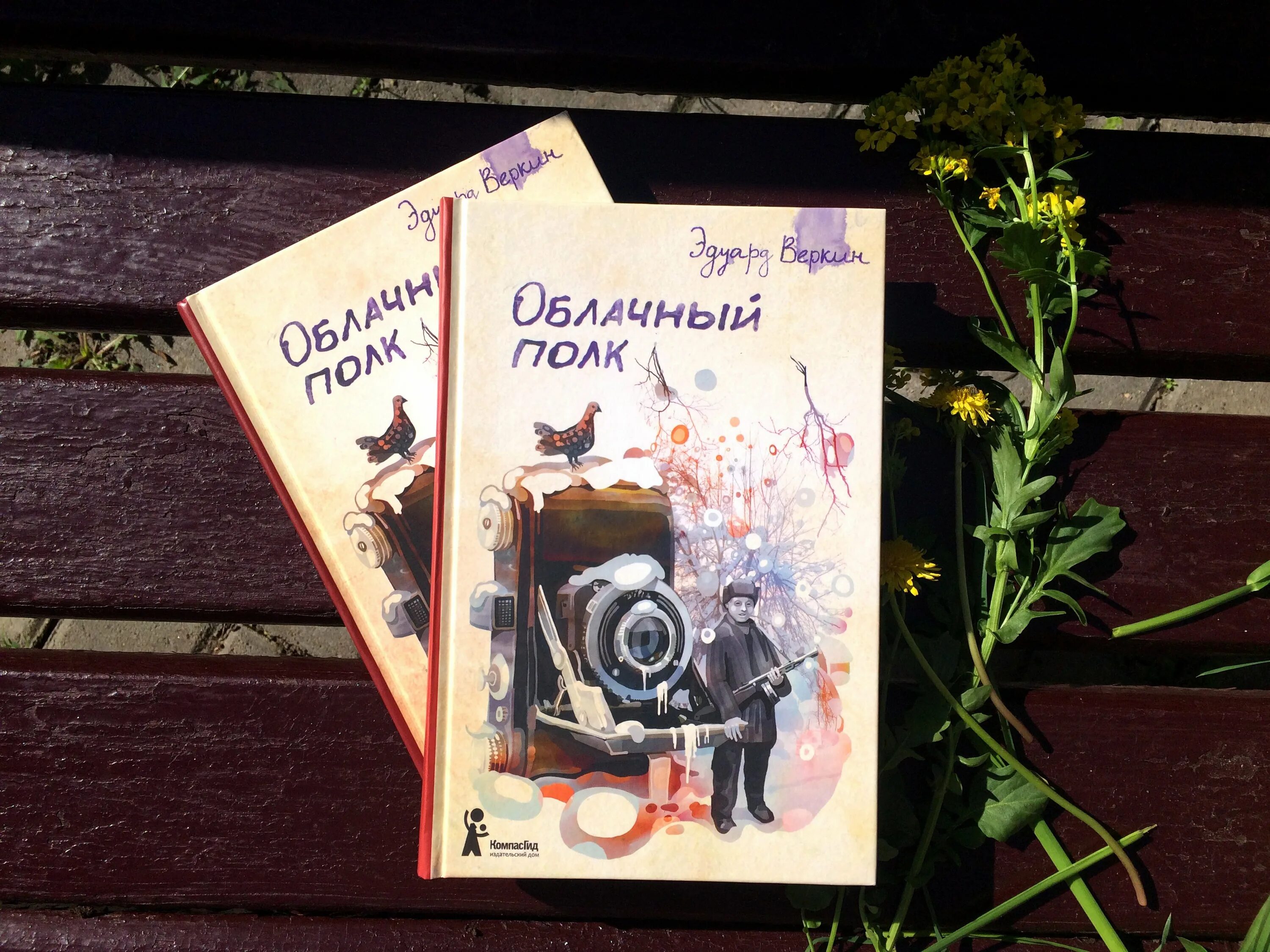 Веркин облачный полк книга. Веркин облачный полк обложка.