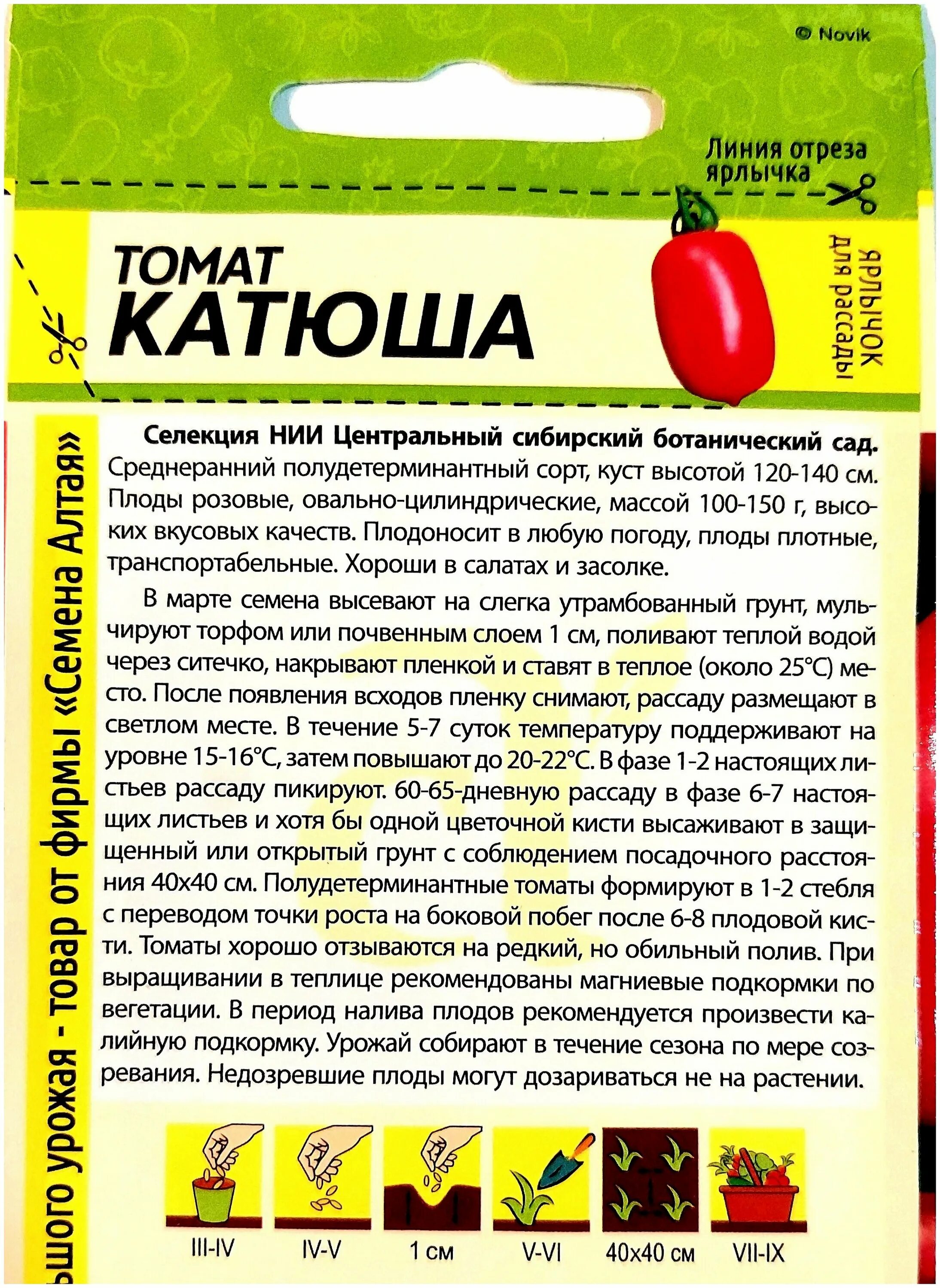 томат катюша низкорослый. томат катюша семена алтая. помидоры сорт катюша. помидоры сорт катюша. помидоры сорт катюша.