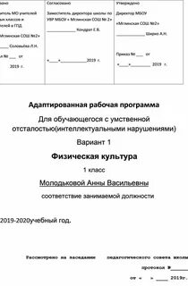 Адаптивная физическая культура рабочая программа класс