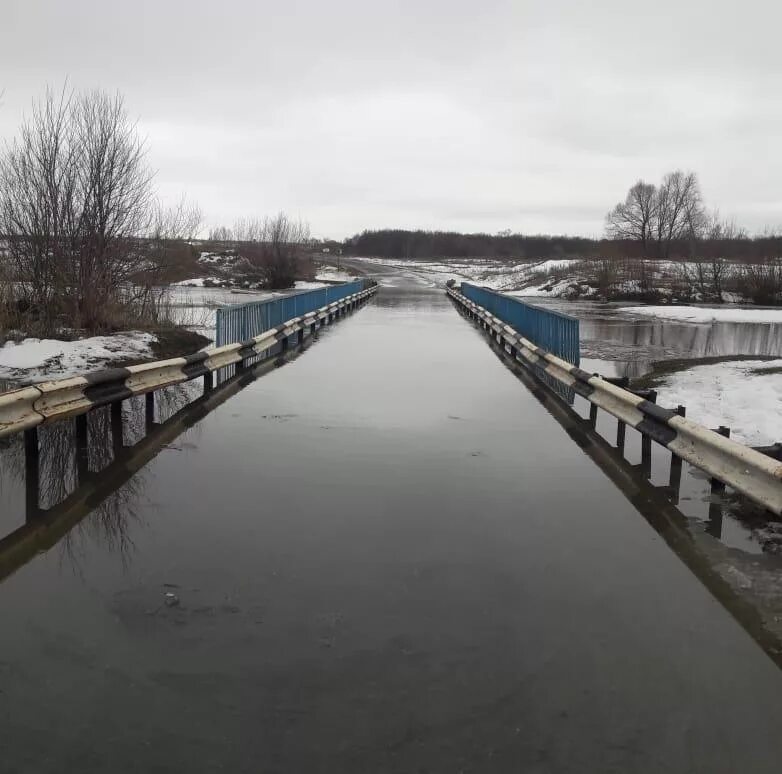 Уровень воды в мокше на сегодня. Река Мокша в Темникове. Темников мост Мокша. Краснослободск Мокша. Мост реки Мокша Пресня.