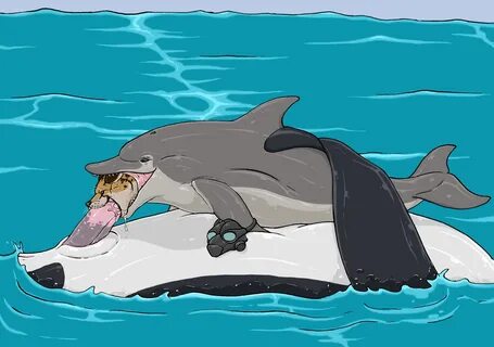 Dolphin rule 34 - porno.embers.city.