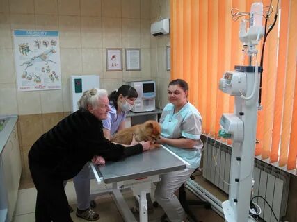 Ветеринарный госпиталь серпуховская подольск