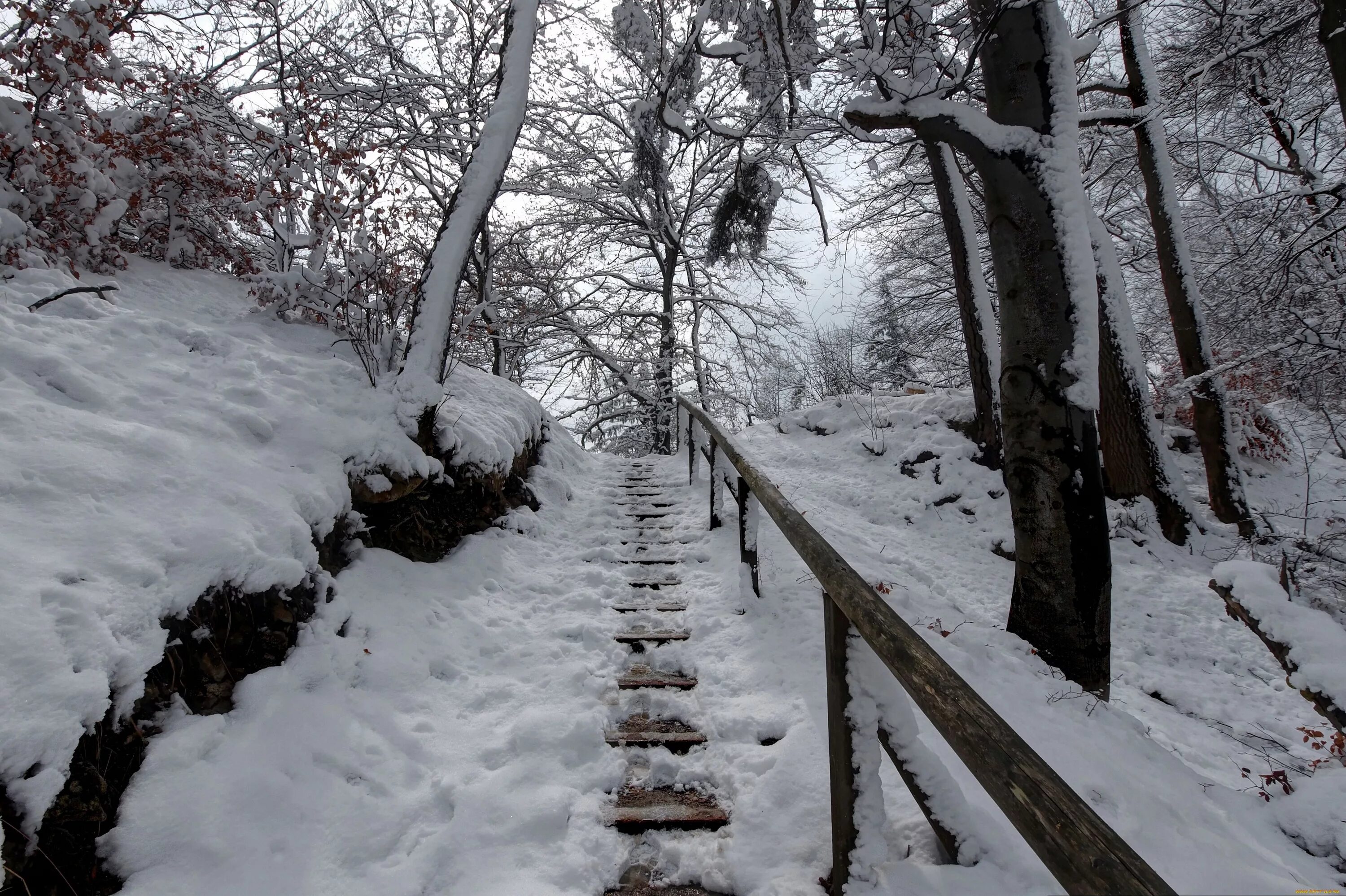 Зимние ступени. Лестница в снегу. Зима тропа. Лестницы в зимнем лесу. Ступени зимой.