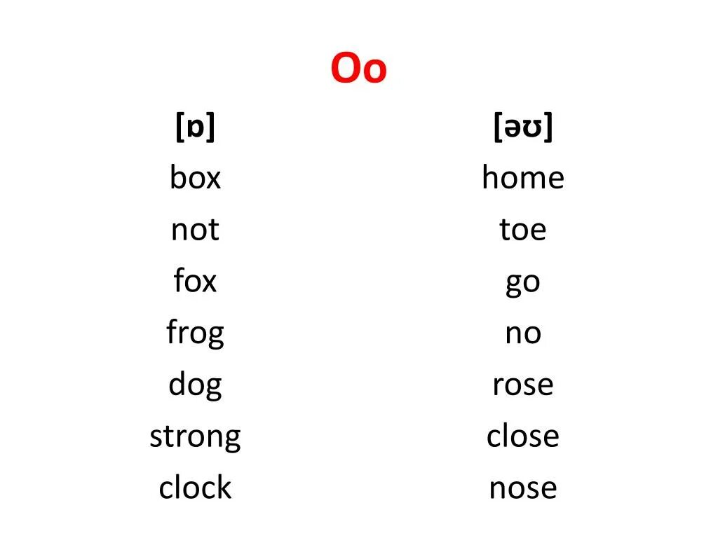 Нос лягушки. Глаза лягушки. Лягушки в венесуэле фото. Nose close frog. Длинноносая древесная лягушка.