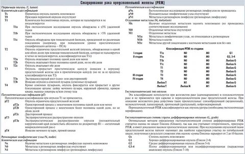 Сколько стадий у рака простаты