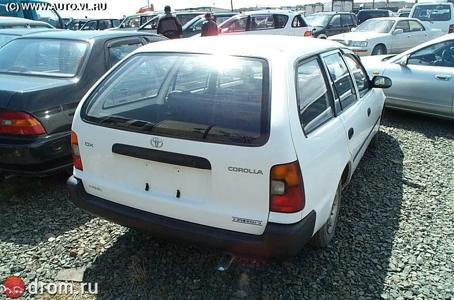 кузов 102. кузов 102. кузов 102. тойота королла 151 кузов. Toyota corolla ee102.