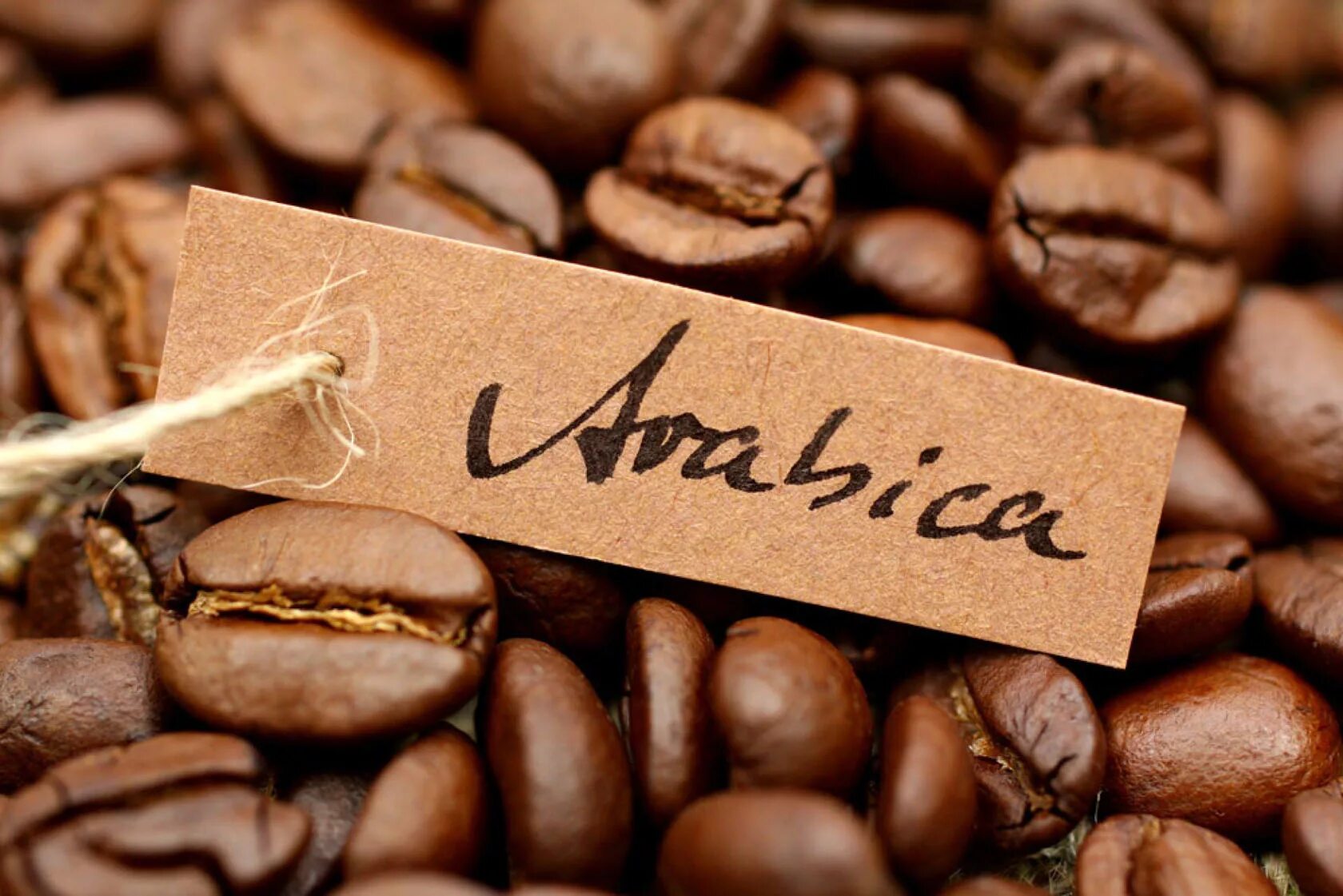 Кофе Арабика и Робуста и Либерика Эксцельза. Сорта кофе Арабика. Арабика Робуста Либерика. Сорта кофе Арабика Робуста Либерика. Сот кофе