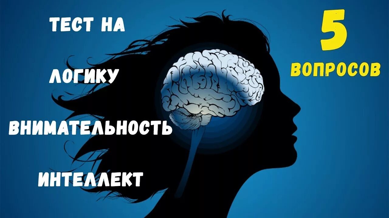 Тесты для мозга в картинках. Головоломка для мозга. Тест на интеллект. Интересные тесты про мозг.