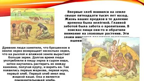 Каким было их отношение к предкам