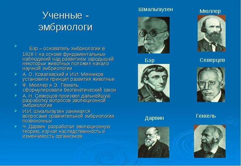 Что является объектом изучения эмбриологии. Краткая история развития эмбриологии. эмбриология ученые. ученые которые изучали онтогенез. кто открыл эмбриональное развитие.